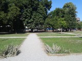 20190716_Trg bana Jelačića_sl2~1.jpg